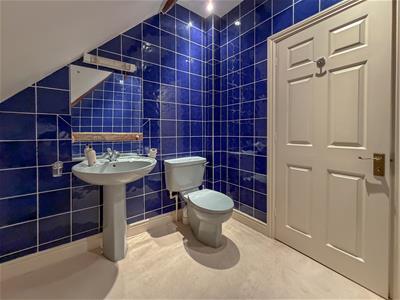 Picture 21